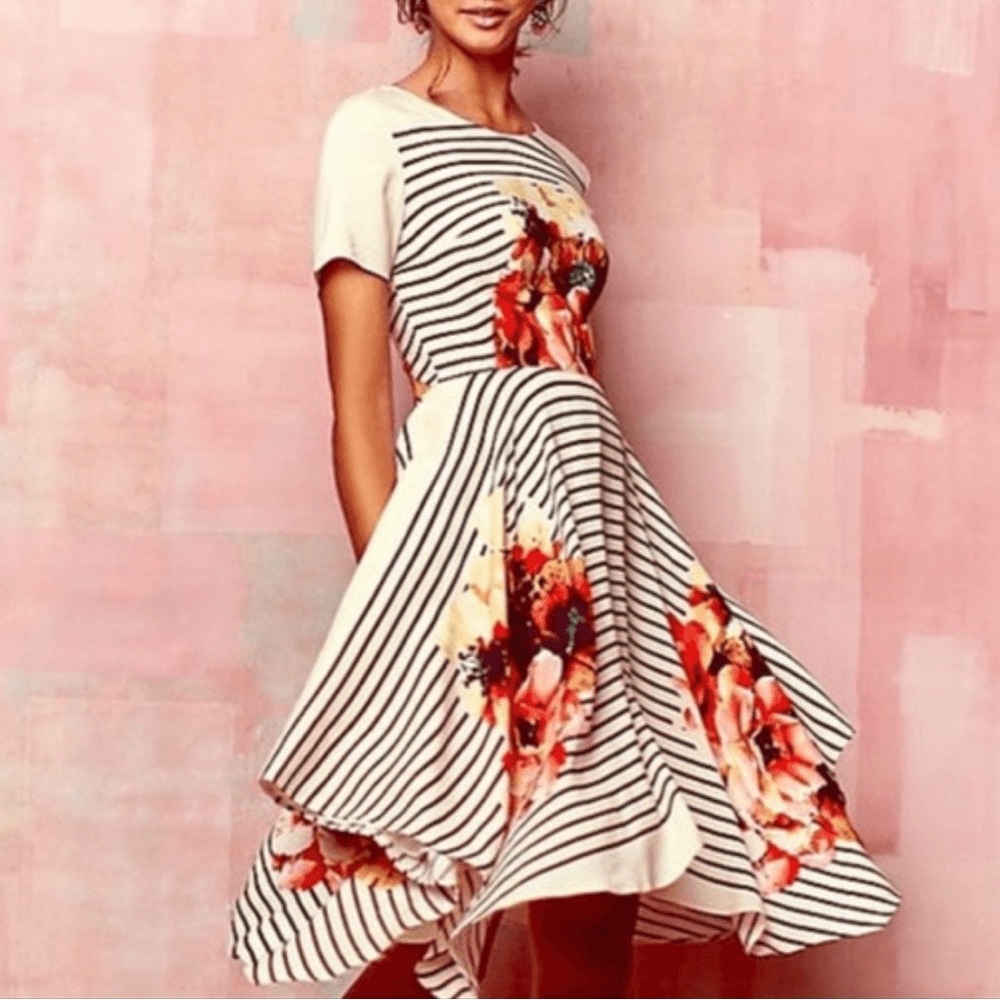 Anthropologie Floral Striped Dress